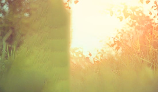 Ψ������600��