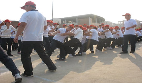 ��ѡ�κӵı�������500����ƪ