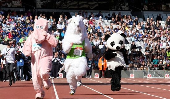 �˶�������500�֣���ѡ50ƪ��